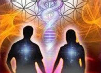 Le Conseil des Neuf : Divin par Nature